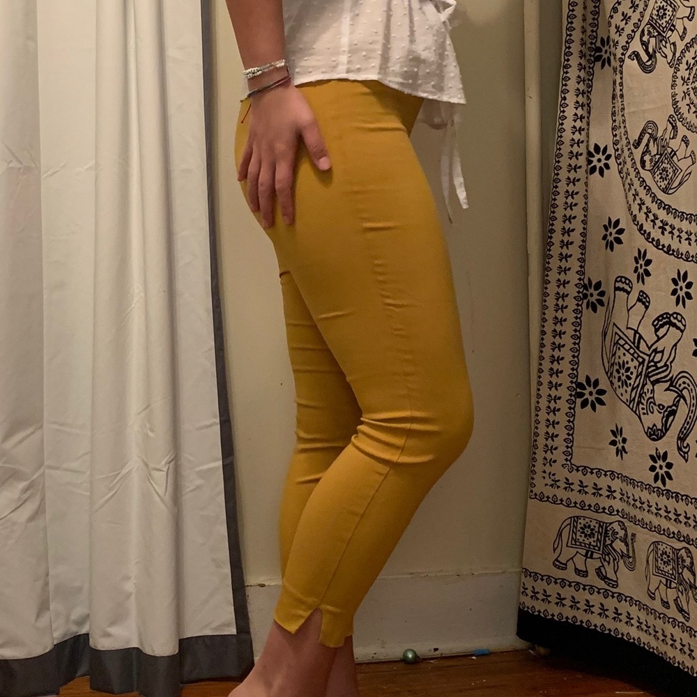 Yellow business pants - Picture 4 of 5